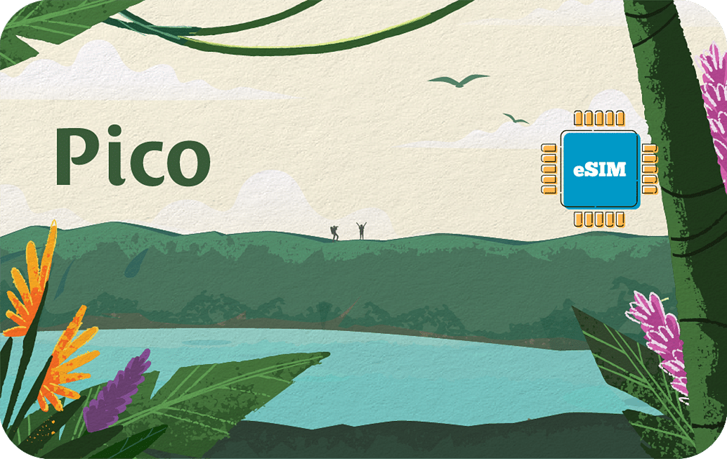 6995a92f-9866-4d2c-8442-8466cc49c8ff